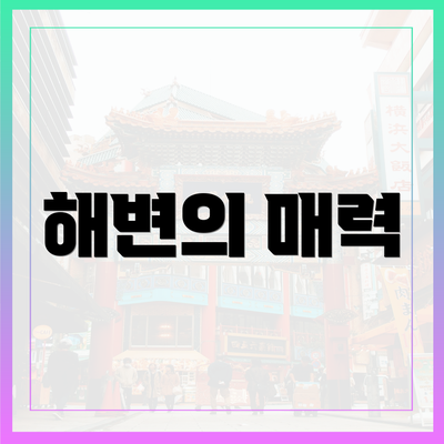 해변의 매력