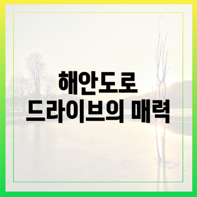 해안도로 드라이브의 매력