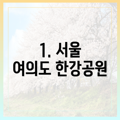 1. 서울 여의도 한강공원