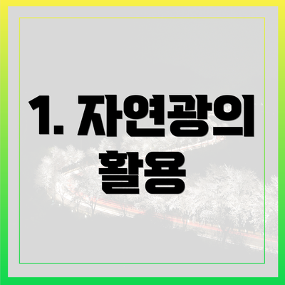 1. 자연광의 활용