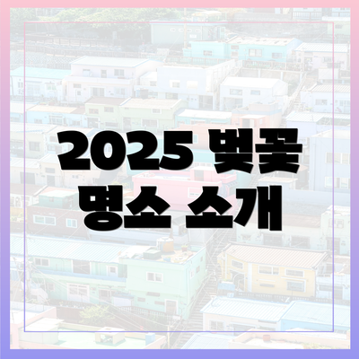 2025 벚꽃 명소 소개