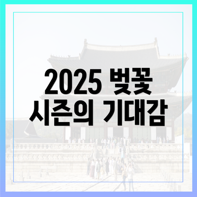 2025 벚꽃 시즌의 기대감