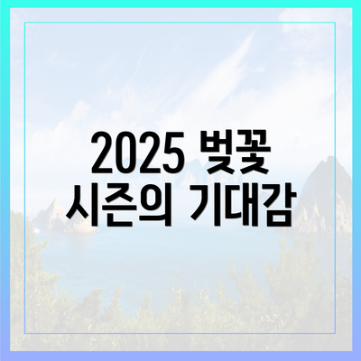 2025 벚꽃 시즌의 기대감