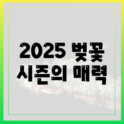 2025 벚꽃 시즌의 매력