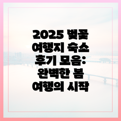 2025 벚꽃 여행지 숙소 후기 모음: 완벽한 봄 여행의 시작