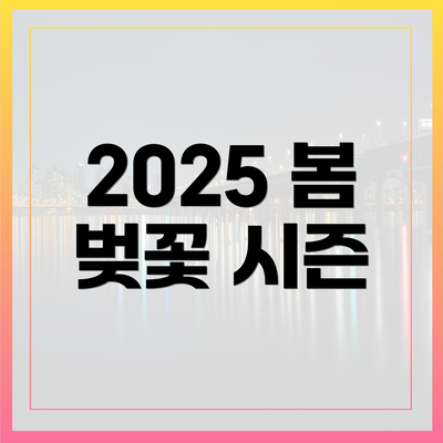 2025 봄 벚꽃 시즌