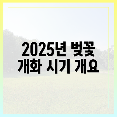 2025년 벚꽃 개화 시기 개요