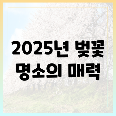 2025년 벚꽃 명소의 매력
