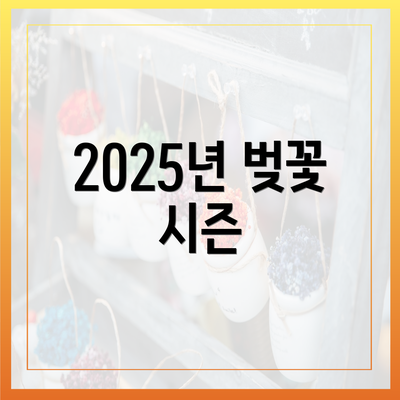 2025년 벚꽃 시즌