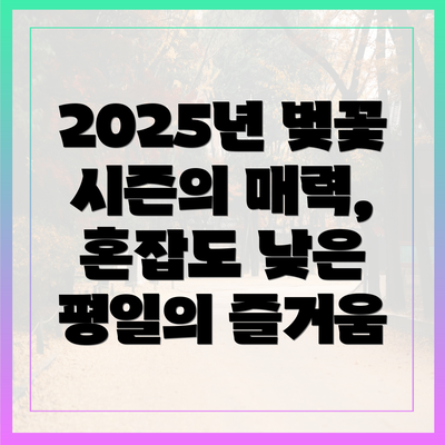 2025년 벚꽃 시즌의 매력, 혼잡도 낮은 평일의 즐거움