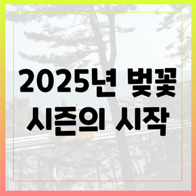 2025년 벚꽃 시즌의 시작