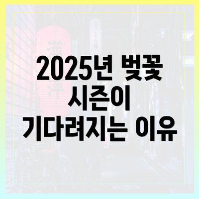 2025년 벚꽃 시즌이 기다려지는 이유