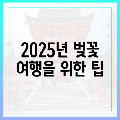 2025년 벚꽃 여행을 위한 팁
