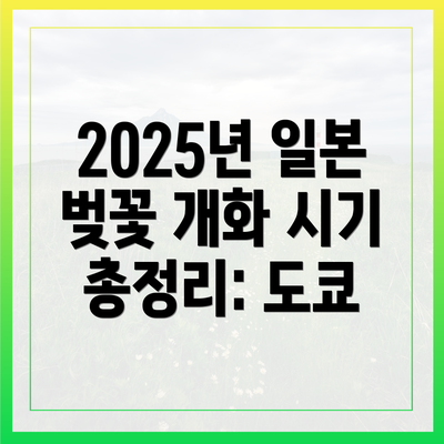 2025년 일본 벚꽃 개화 시기 총정리: 도쿄