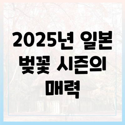 2025년 일본 벚꽃 시즌의 매력