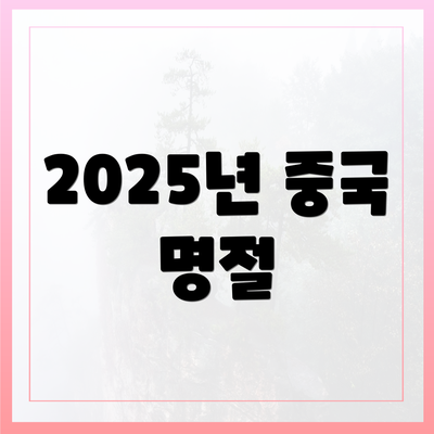 2025년 중국 명절