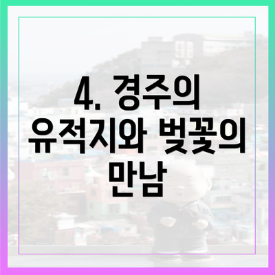 4. 경주의 유적지와 벚꽃의 만남