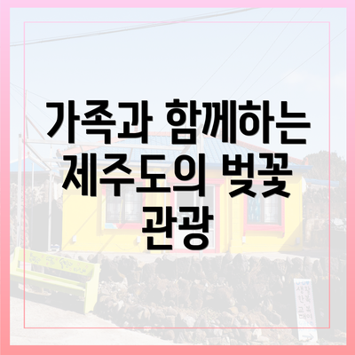 가족과 함께하는 제주도의 벚꽃 관광