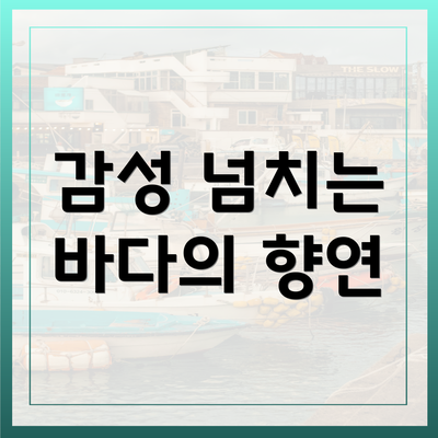 감성 넘치는 바다의 향연