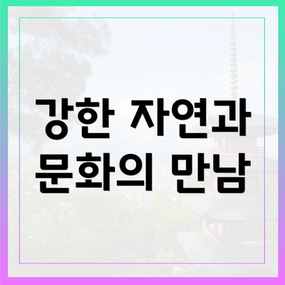 강한 자연과 문화의 만남