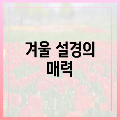겨울 설경의 매력