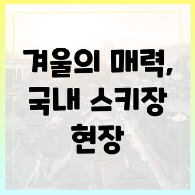 겨울의 매력, 국내 스키장 현장
