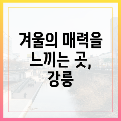 겨울의 매력을 느끼는 곳, 강릉