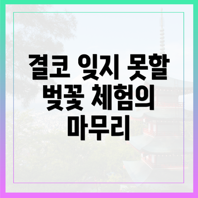 결코 잊지 못할 벚꽃 체험의 마무리