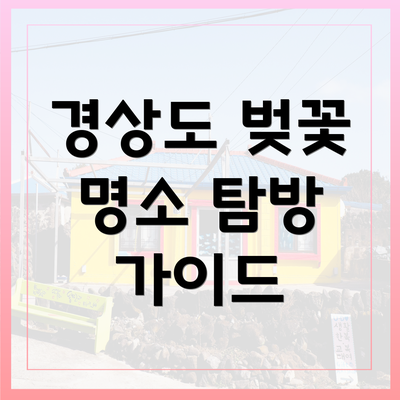 경상도 벚꽃 명소 탐방 가이드