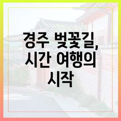 경주 벚꽃길, 시간 여행의 시작