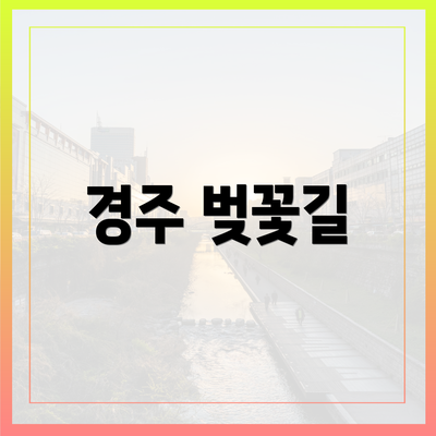 경주 벚꽃길