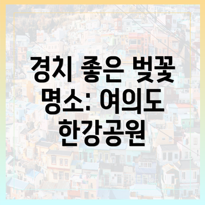 경치 좋은 벚꽃 명소: 여의도 한강공원