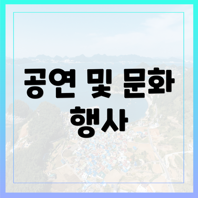 공연 및 문화 행사