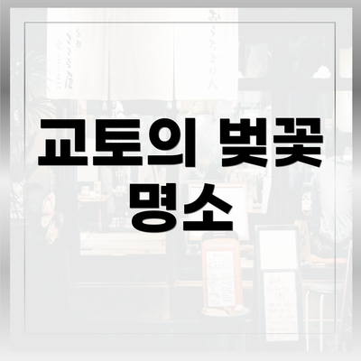 교토의 벚꽃 명소