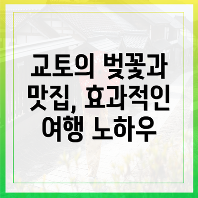 교토의 벚꽃과 맛집, 효과적인 여행 노하우