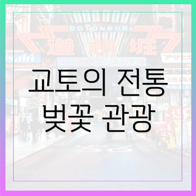 교토의 전통 벚꽃 관광