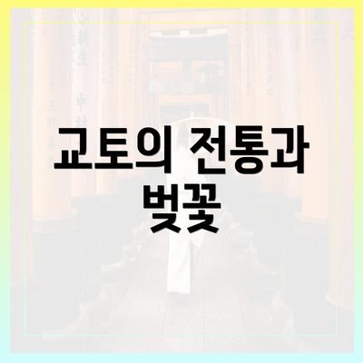 교토의 전통과 벚꽃