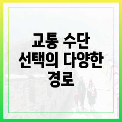 교통 수단 선택의 다양한 경로