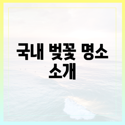 국내 벚꽃 명소 소개