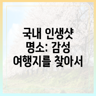 국내 인생샷 명소: 감성 여행지를 찾아서