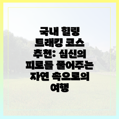 국내 힐링 트래킹 코스 추천: 심신의 피로를 풀어주는 자연 속으로의 여행