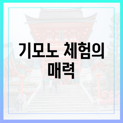 기모노 체험의 매력
