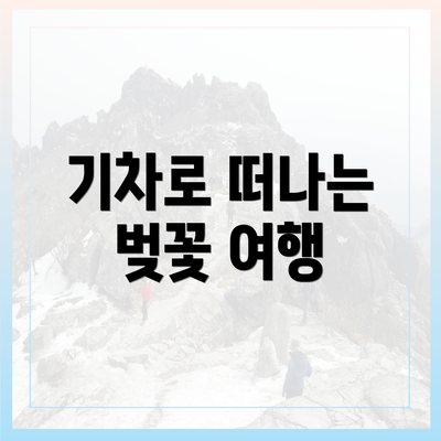 기차로 떠나는 벚꽃 여행