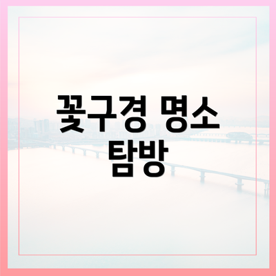 꽃구경 명소 탐방