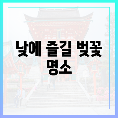 낮에 즐길 벚꽃 명소