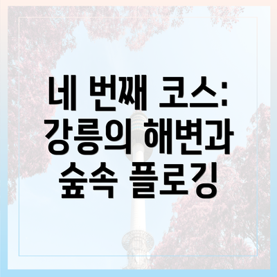 네 번째 코스: 강릉의 해변과 숲속 플로깅