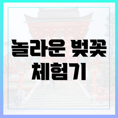 놀라운 벚꽃 체험기