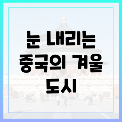 눈 내리는 중국의 겨울 도시