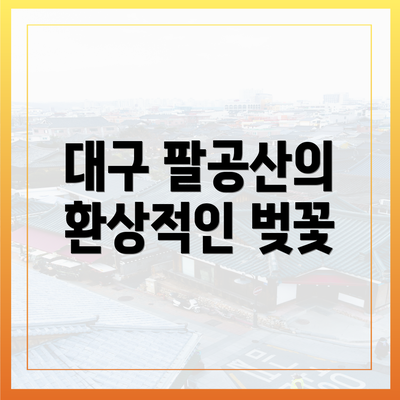 대구 팔공산의 환상적인 벚꽃