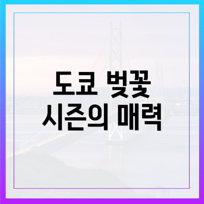 도쿄 벚꽃 시즌의 매력